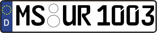 MS-UR1003