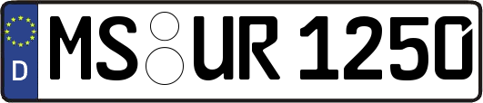 MS-UR1250