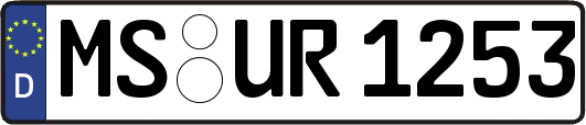 MS-UR1253