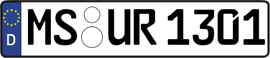 MS-UR1301
