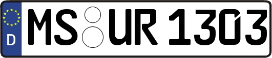 MS-UR1303