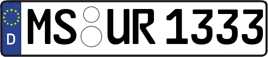 MS-UR1333