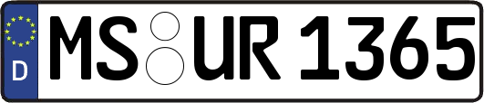MS-UR1365