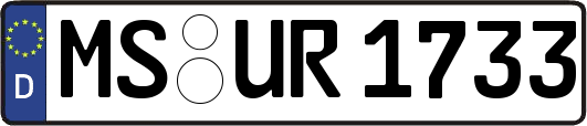 MS-UR1733