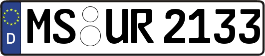 MS-UR2133