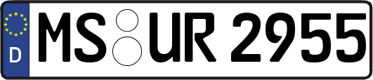 MS-UR2955