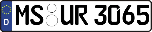 MS-UR3065