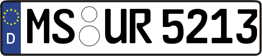 MS-UR5213