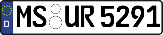 MS-UR5291