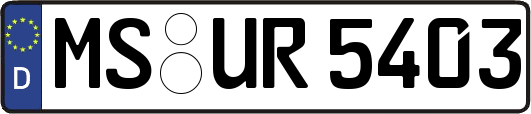 MS-UR5403