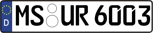 MS-UR6003