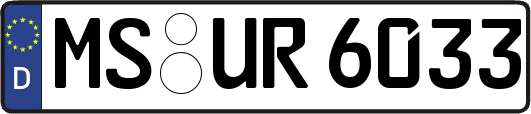 MS-UR6033