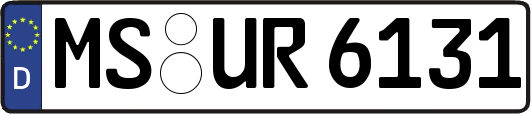 MS-UR6131