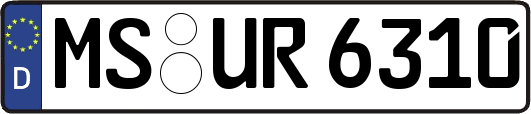MS-UR6310