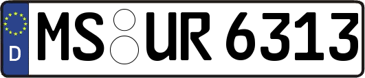 MS-UR6313