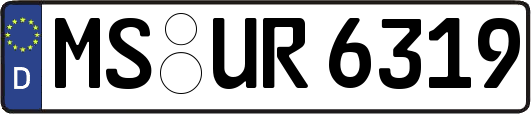 MS-UR6319