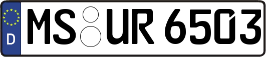 MS-UR6503