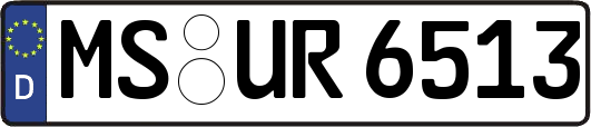 MS-UR6513