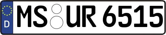 MS-UR6515