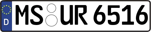MS-UR6516
