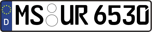 MS-UR6530