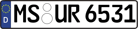 MS-UR6531