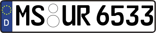 MS-UR6533