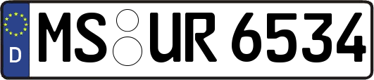 MS-UR6534