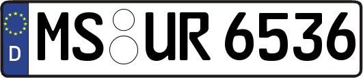MS-UR6536