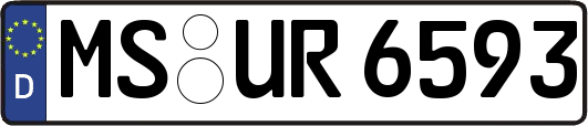 MS-UR6593
