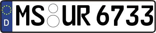 MS-UR6733