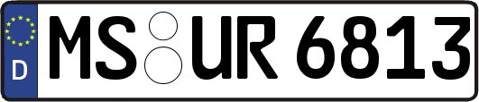 MS-UR6813