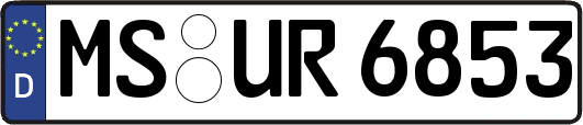 MS-UR6853