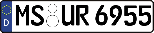 MS-UR6955