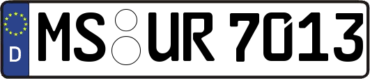 MS-UR7013