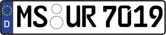MS-UR7019