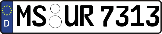 MS-UR7313