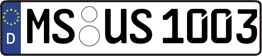 MS-US1003