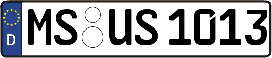 MS-US1013