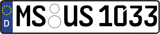 MS-US1033