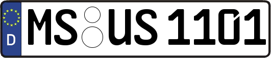 MS-US1101