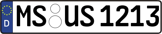 MS-US1213