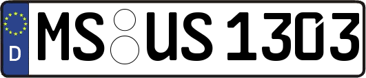MS-US1303