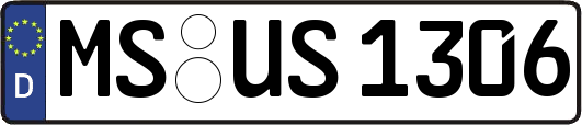 MS-US1306