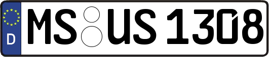 MS-US1308