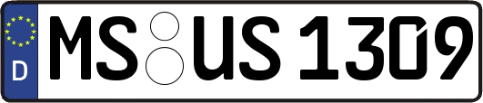 MS-US1309