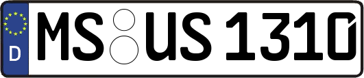 MS-US1310