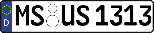 MS-US1313