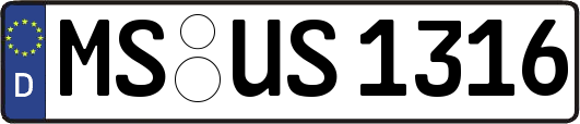 MS-US1316