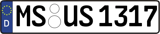 MS-US1317
